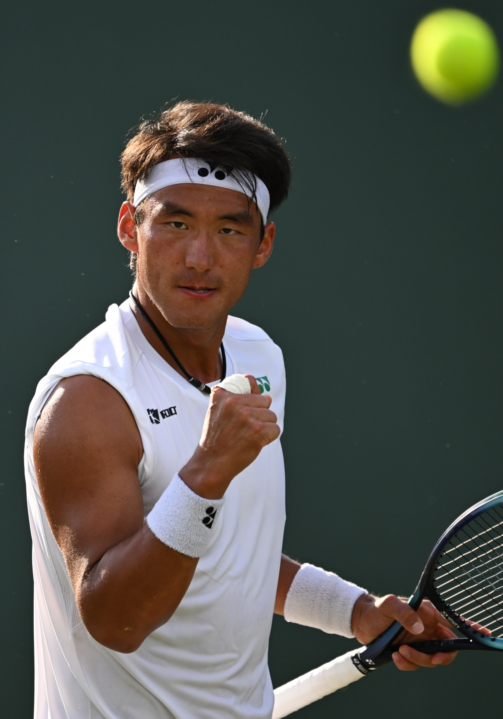 明星球员合 明星球员合